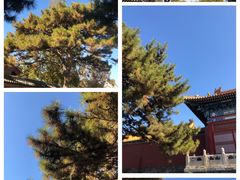 -故宫博物院(故宫)