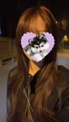 -BULB STUDIO 巴柏明星发型工作室