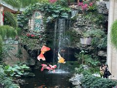 -白天鹅宾馆-宏图府餐厅