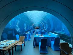 -海棠湾洲际-涛·海底餐厅·美人鱼·自助餐·海底隧道