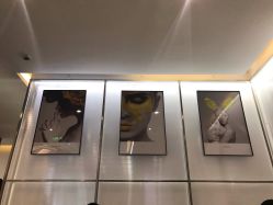 -崇尚GAVIN STYLE臻选