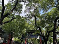 -北京国子监胡同