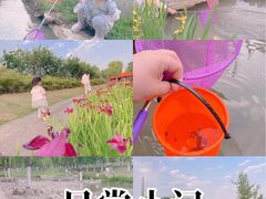 -皇粮浜湿地公园