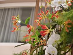 -花到家(富贵鸟花艺行)