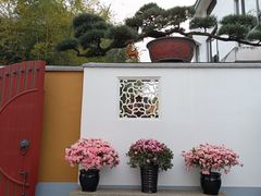 -龙华素斋(龙华路店)