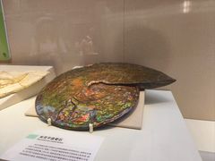 -国家自然博物馆