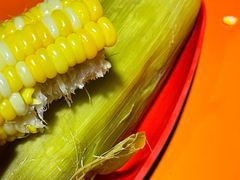 -光明刘冰乳鸽店(光明法政北路店)