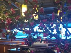 -额娘·春饼烤鸭(怀特店)
