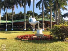 -侯臣咖啡文化村