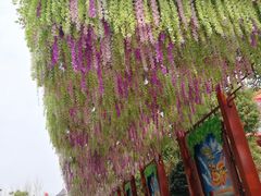 -芜湖方特东方神画