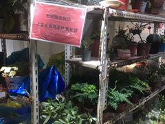 -万商花鸟市场