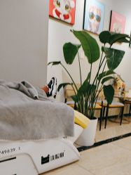 -洗脸猫·洗脸吧