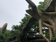 -石老人观光园