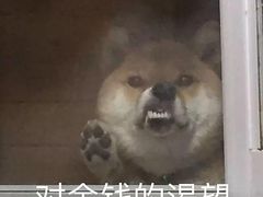 -绝城芋儿鸡(犀浦旗舰店)