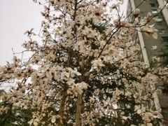 -木塔寺遗址生态公园