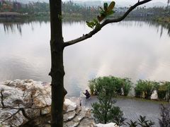 -枫香湖儿童公园