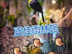 -正佳雨林生态植物园