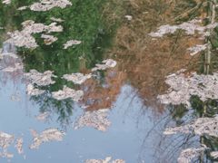 -山王坪喀斯特国家生态公园