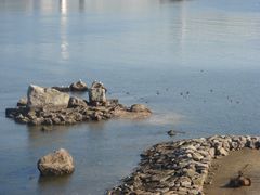 -台场海滨公园船码头