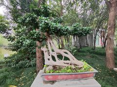 -郑州植物园