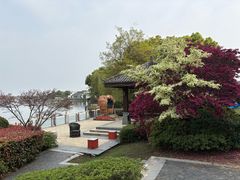 -同里湖度假村(二期店)