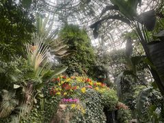 -郑州植物园