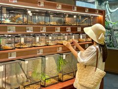 -帕帕拉兹宠物(亚洲旗舰店)