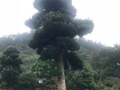 -韶山毛泽东同志故居