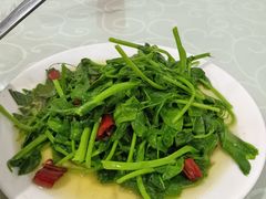 -胡世羊肉汤(南街店)