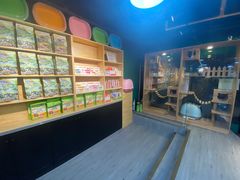 -猫十亿·布偶金渐层·曼基康矮脚猫舍(青年路店)