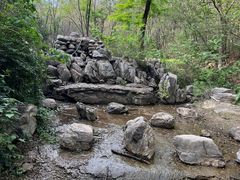 -云岗森林公园