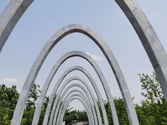 -大兴滨河森林公园