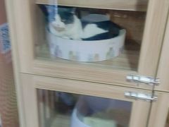 -白兔子密室(长寿路店)