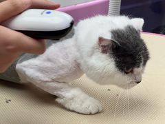 -FAELING PETS美天灵宠物(富力广场店)