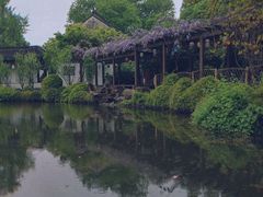 -上海醉白池公园