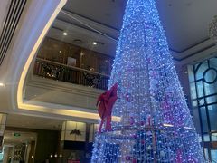 -北京广安门维景国际大酒店