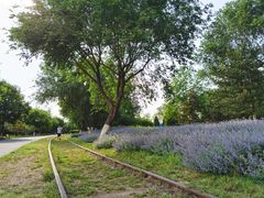 -永定河休闲森林公园