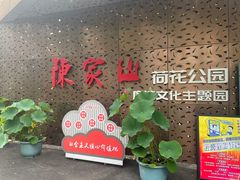 -陈家山荷花公园
