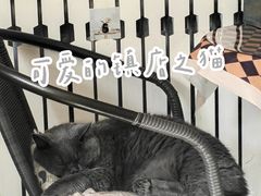 -Rabbit Cafe私房西餐甜点咖啡(栖霞路店)