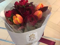 -BEAST野兽派(上海浦东嘉里城店)