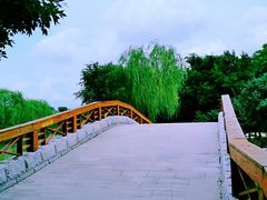 -塘沽森林公园
