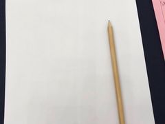 -圣爵菲斯大酒店(长沙世界之窗店)