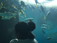 -北戴河圣蓝海洋公园