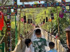 -西双版纳原始森林公园