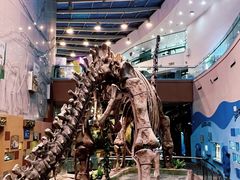 -陕西自然博物馆