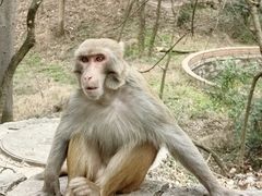 -黔灵山公园