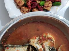 -风鑫铃罗非鱼(道沟店)