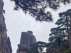 -黄山风景区