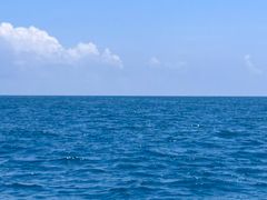 -小猫钓鱼海钓俱乐部(椰梦长廊店)