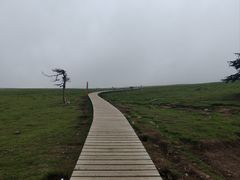 -芦芽山旅游度假区